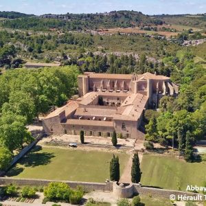 L’Abbaye de Valmagne : un patrimoine cistercien traversant les âges