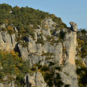 Randonnée : les corniches de Méjean dans les gorges du Tarn