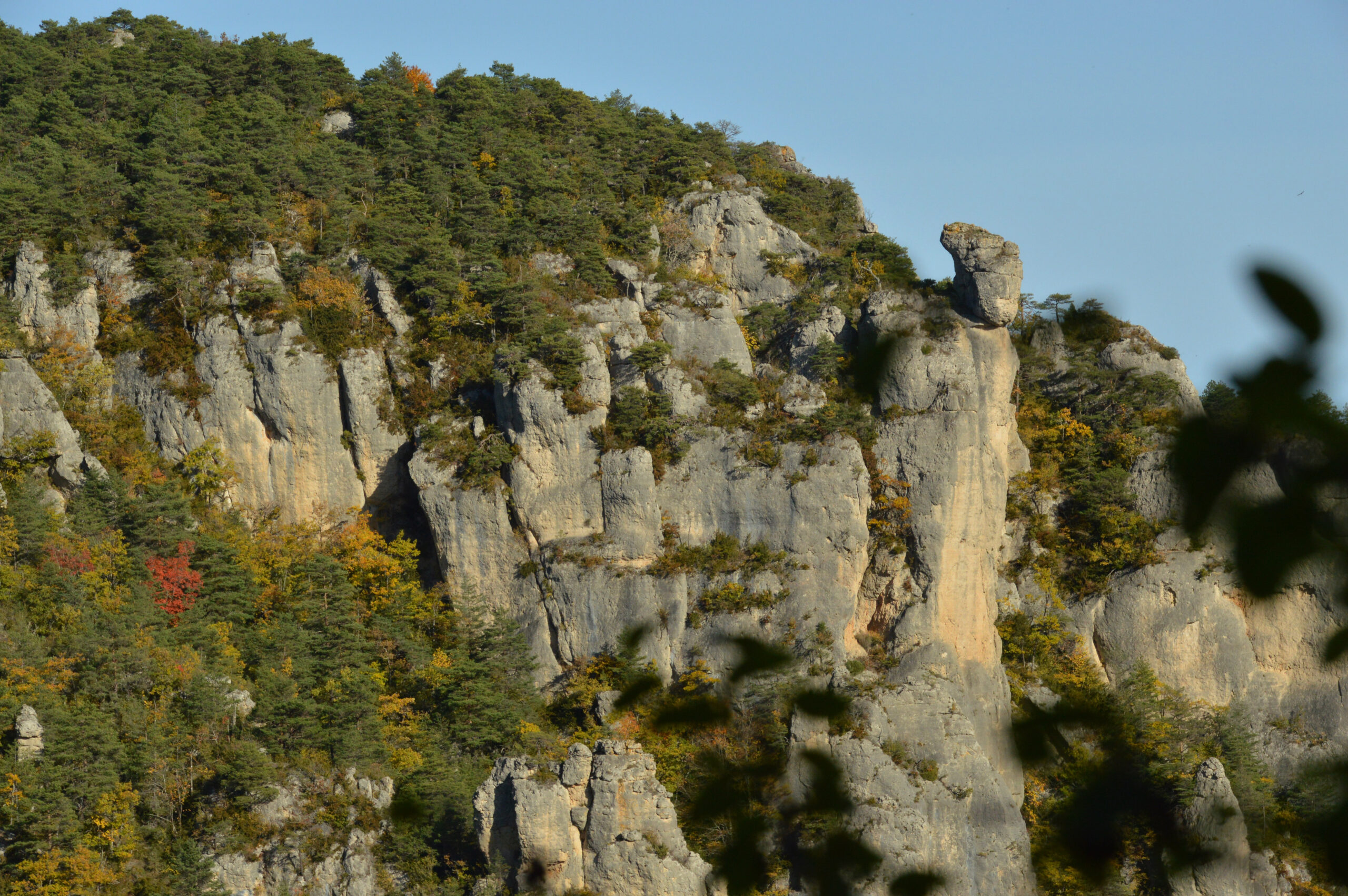 Randonnée : les corniches de Méjean dans les gorges du Tarn