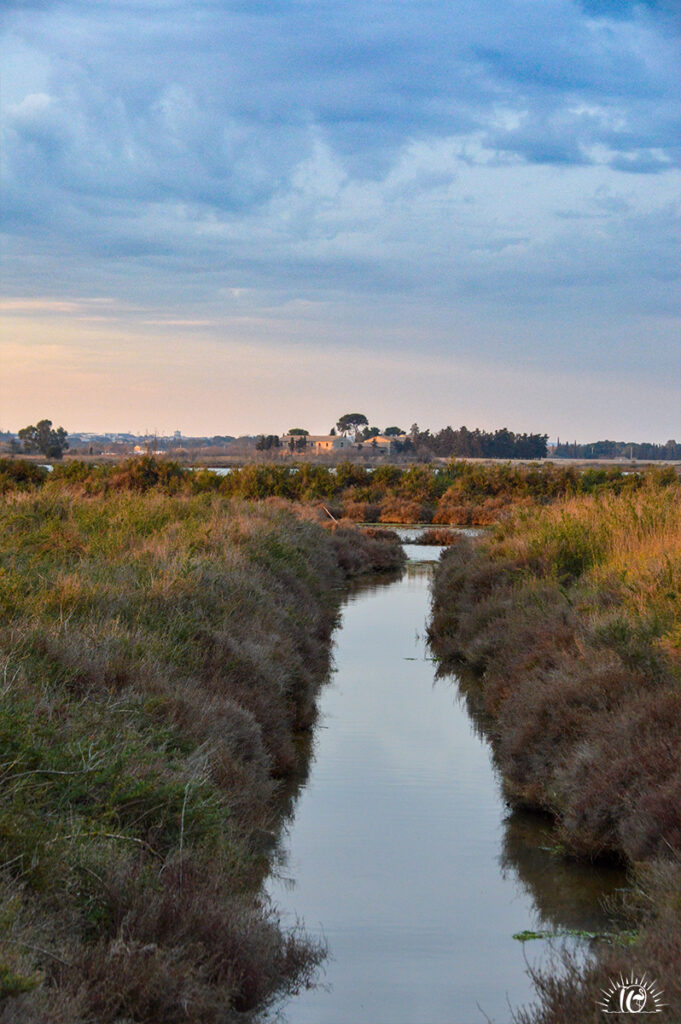 Salins de Mireval